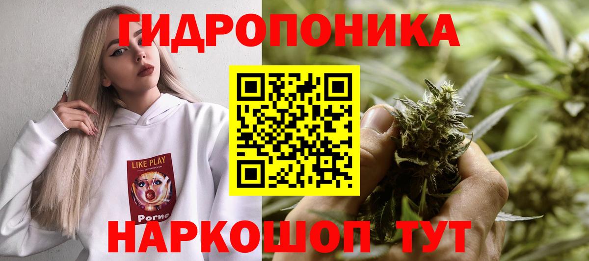 Кизляр  Конопля Amnesia  Каннабис планчик  Вход с VPN 